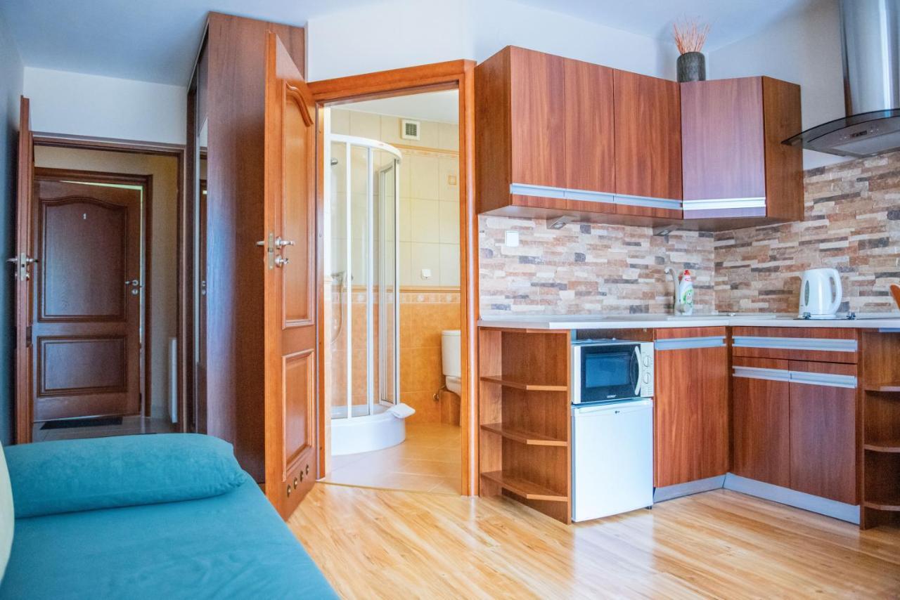 Apartamenty Willa Alesandro Zakopane Kültér fotó