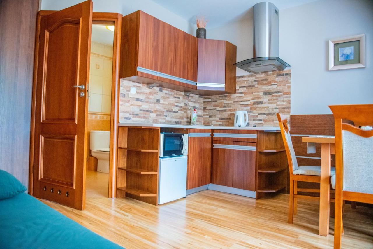 Apartamenty Willa Alesandro Zakopane Kültér fotó